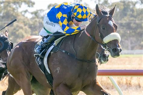prince bet net|Swan Hill horse racing tips: Tuesday, April 9, 2024.
